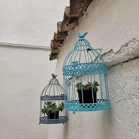 Casa El Tratado, Situada En El Casco Historico Con Patio Privado בית נופש טורדסיאס